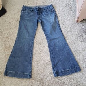 Level 99 size 31 Anthropology Jeans